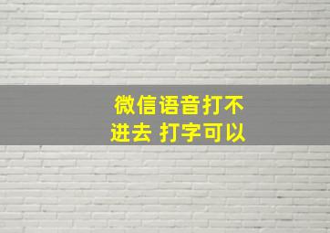 微信语音打不进去 打字可以